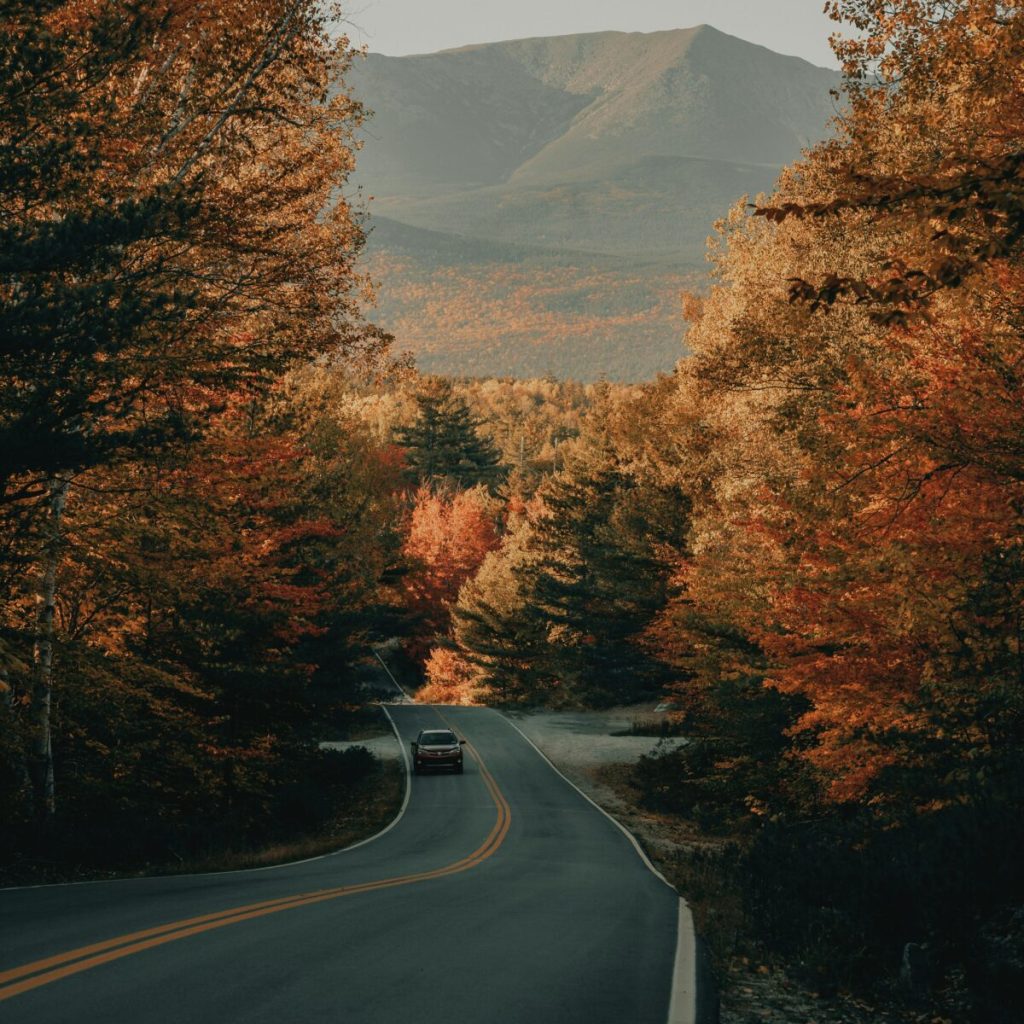 clay-banks-NhGmA9g-IeY-unsplash